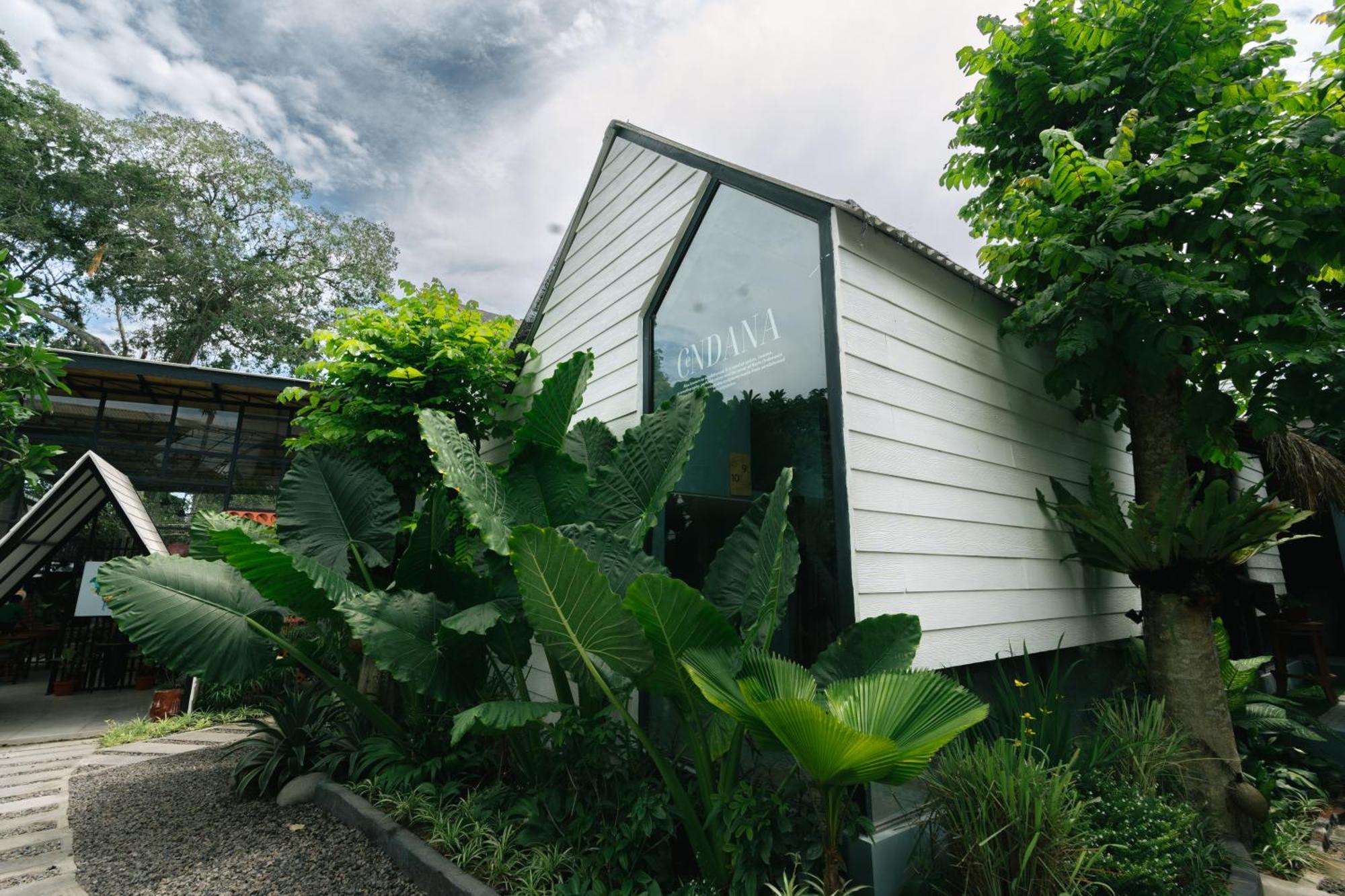 The Jungle Hostel Canggu Zewnętrze zdjęcie