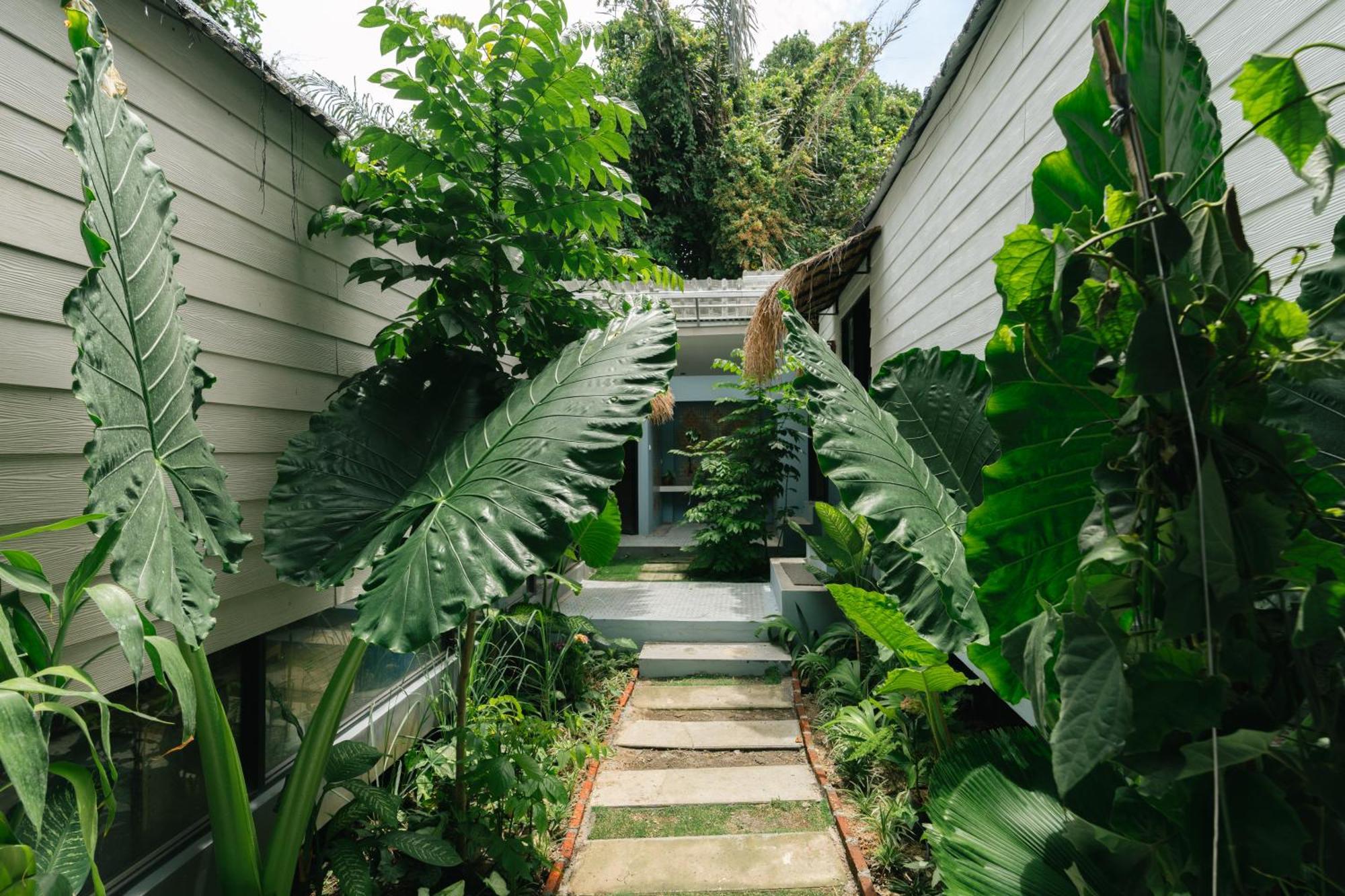 The Jungle Hostel Canggu Zewnętrze zdjęcie