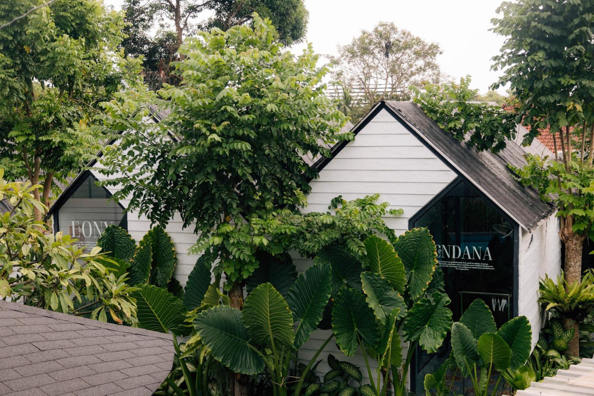The Jungle Hostel Canggu Zewnętrze zdjęcie